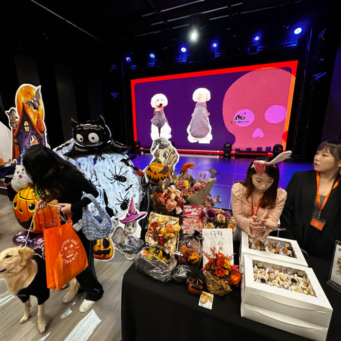 Sosweet's Sweetest Howl-O-Ween at the Doggie Fest 2023